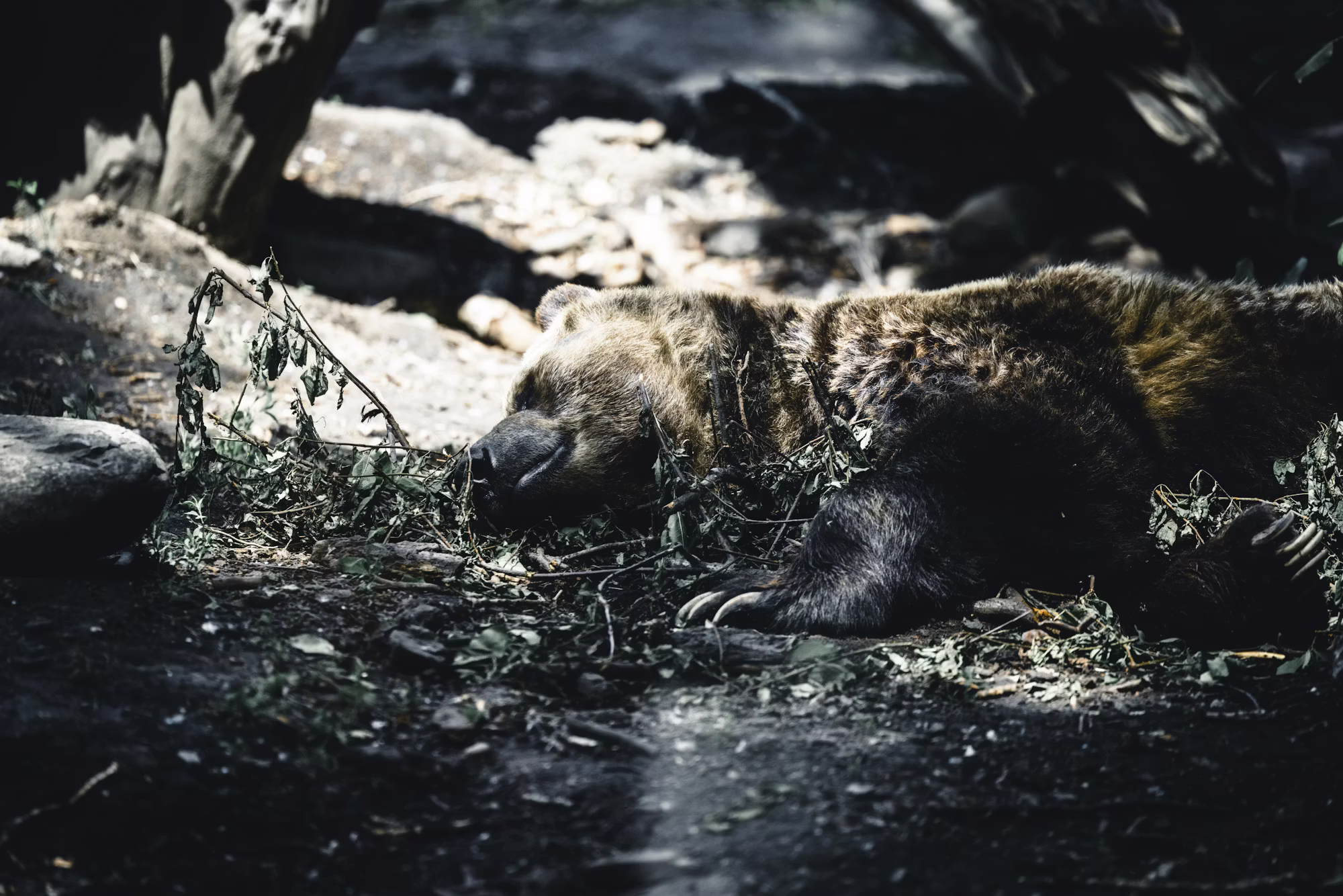 Exploring Sustainable Travel: How to Travel the World with a Positive Environmental Impact